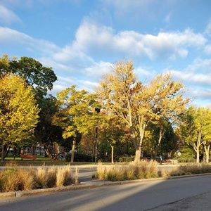 Meet your Posher, Vahid